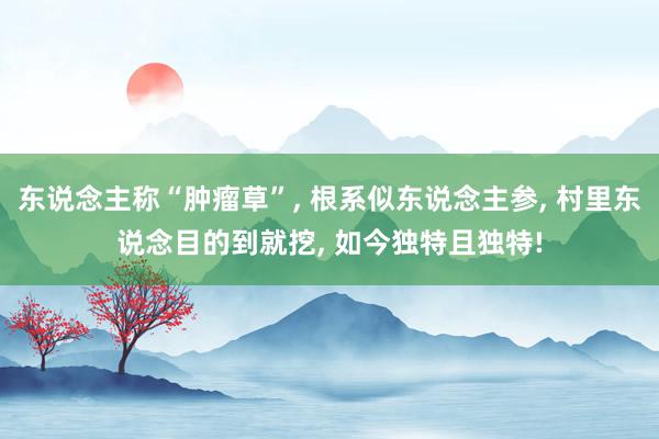 东说念主称“肿瘤草”, 根系似东说念主参, 村里东说念目的到就挖, 如今独特且独特!