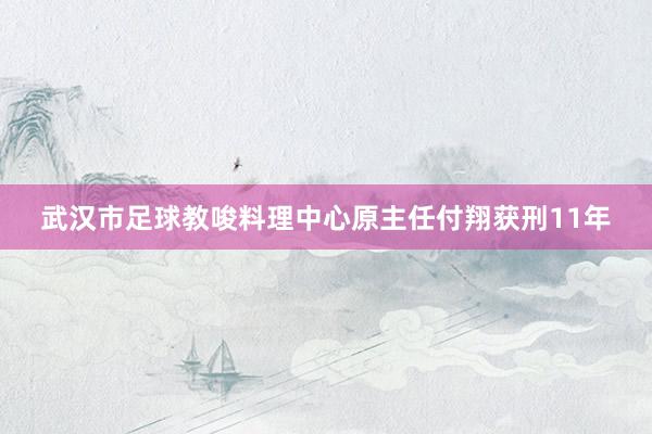 武汉市足球教唆料理中心原主任付翔获刑11年