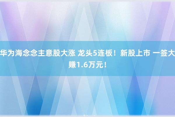 华为海念念主意股大涨 龙头5连板！新股上市 一签大赚1.6万元！