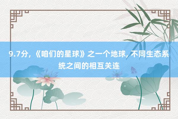 9.7分, 《咱们的星球》之一个地球, 不同生态系统之间的相互关连