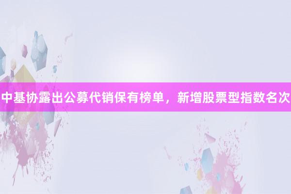 中基协露出公募代销保有榜单，新增股票型指数名次