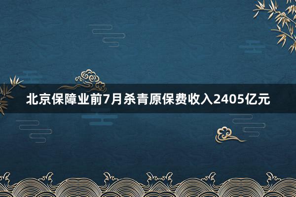 北京保障业前7月杀青原保费收入2405亿元